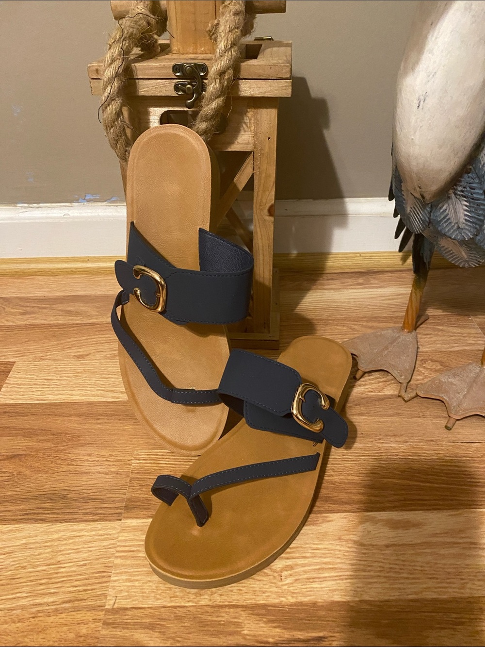 Navy Blue Toe-Loop Sandals with Gold Buckle